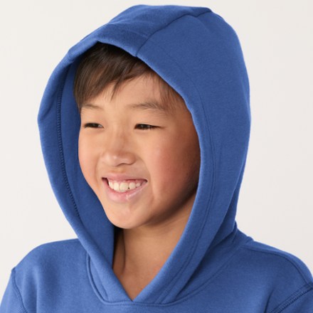 REI Co-op Spiral Graphic Pullover Hoodie - Kids' 4