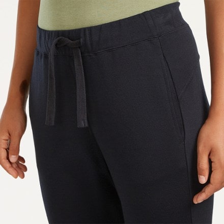 Icebreaker Merino Blend 200 Crush Pants - Women's 3