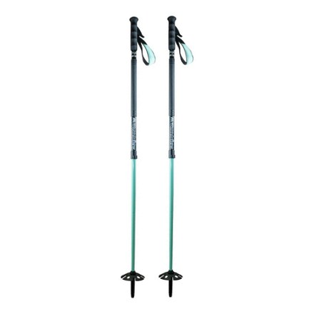 ecoTOUR Ski Poles - Pair