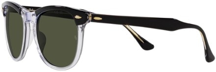 Ray-Ban Eagle Eye Sunglasses 2