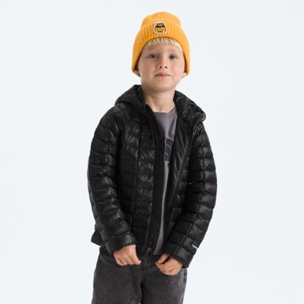 The North Face ThermoBall Hooded Insulated Jacket - Toddlers' 1