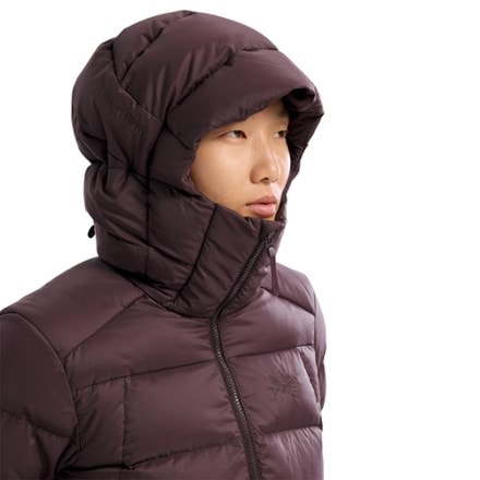 Arc'teryx Thorium Hoody - Women's 6