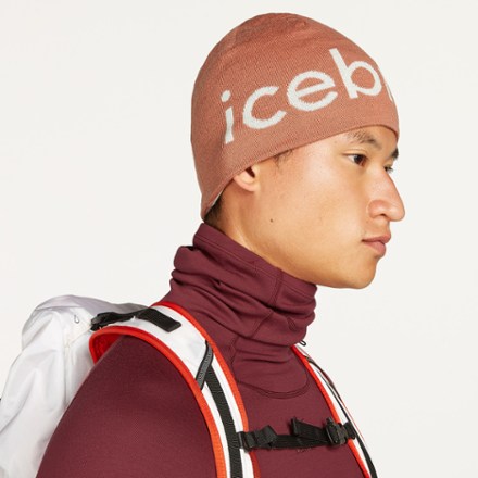 Icebreaker Merino Icebreaker Beanie 3