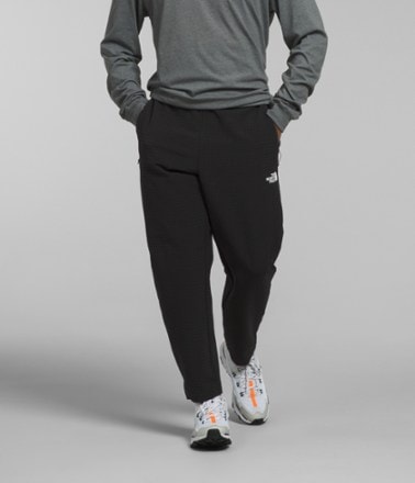 The North Face Tekware Grid Pants - Men's 1