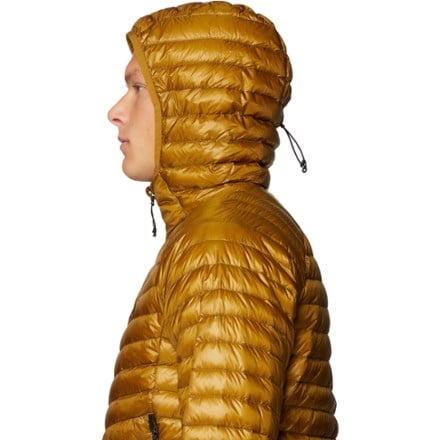 Mountain Hardwear Ghost Whisperer Down Hoody - Men's 4