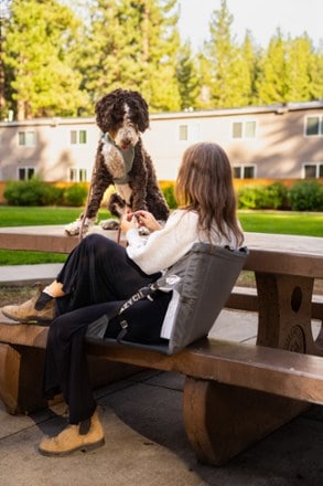 Location Image for Original Chair