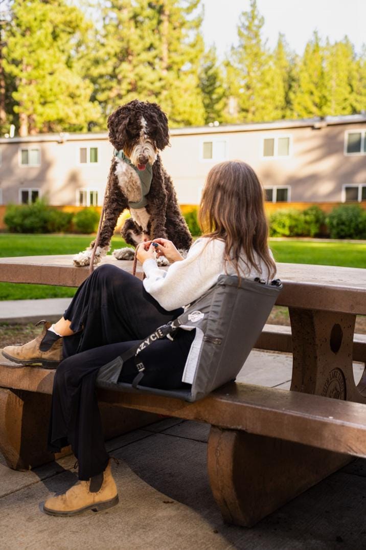 Location Image for Original Chair