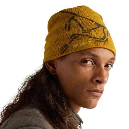 Arc'teryx Bird Head Toque Beanie 3