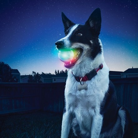 Nite Ize GlowStreak Dog Ball 4