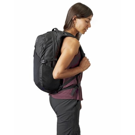 Gregory Nano 20 Daypack 2