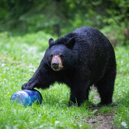 BearVault BV500 Journey Bear Canister 5