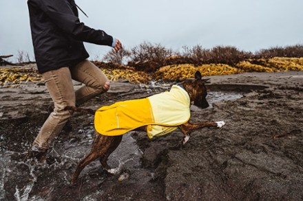 Sunshower Dog Rain Jacket