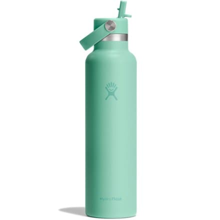 Hydro Flask Standard-Mouth Vacuum Water Bottle with Flex Straw Cap - 24 fl. oz. 1
