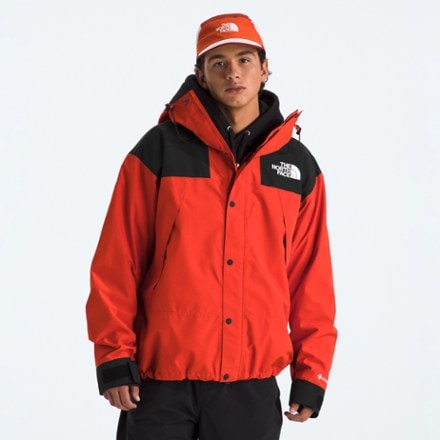 The North Face GORE-TEX Mountain Jacket - Men's 0
