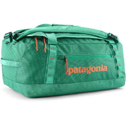 Patagonia Black Hole Duffel 40 L Green