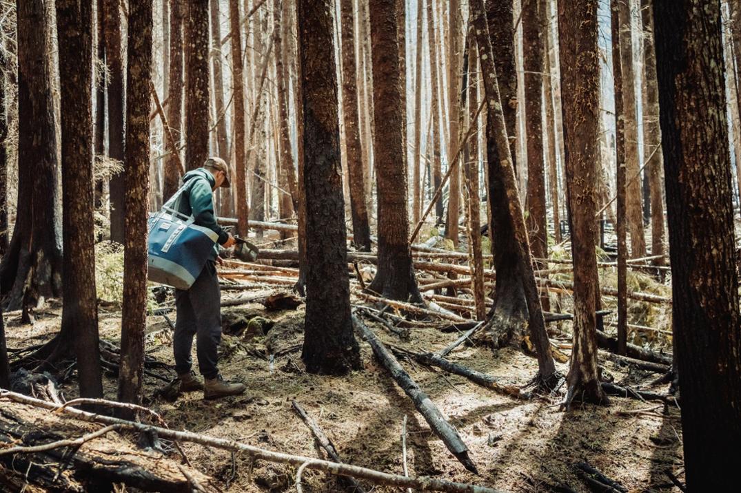 Location Image for Camino 50 Carryall