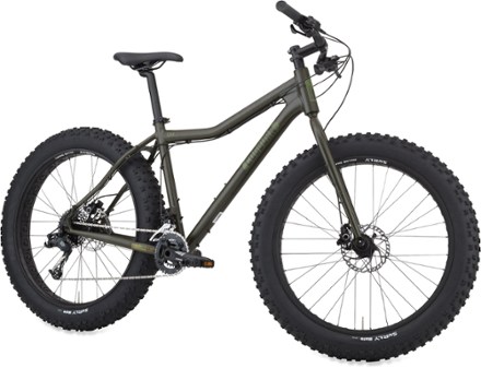 rei fat tire bikes