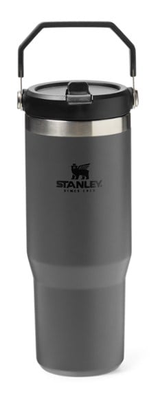 Stanley The IceFlow 30 oz Double-wall vacuum insulation Charcoal BPA Free  Insulated Straw Tumbler - Ace Hardware