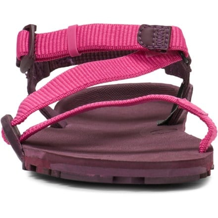 Xero Shoes Z-Trail EV Sandals - Women's 2