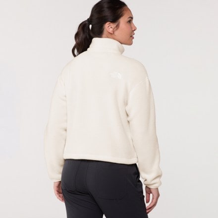 The North Face Fleeski Quarter-Zip Pullover - Women's 2