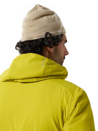 Arc'teryx Bird Head Toque Beanie 2