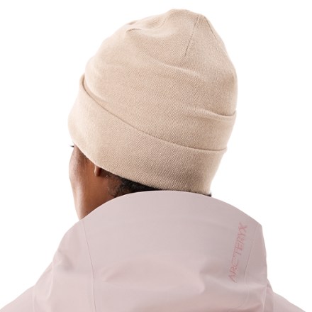 Arc'teryx Embroidered Bird Toque 2