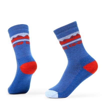 REI Co-op Trailsmith Merino Wool Crew Socks - Kids' 0