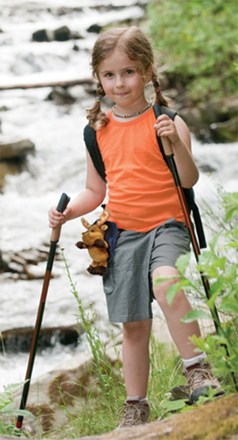 In Use (Meanderin' Moose)