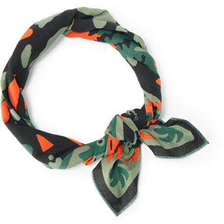 BANDITS Bandana 2