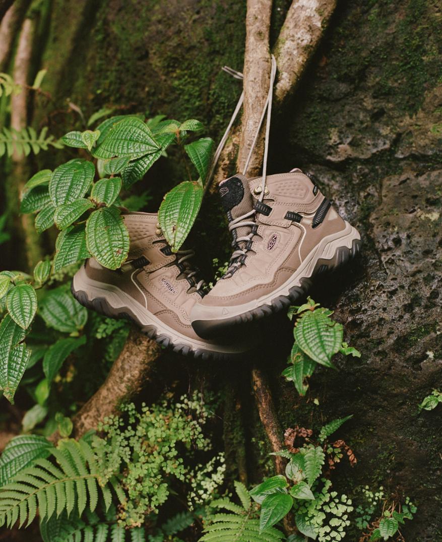 Location Image for Targhee IV Mid Waterproof Hiking Boots - Women's