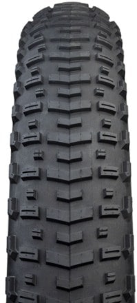 Teravail Coronado LS Tire - 29" 1