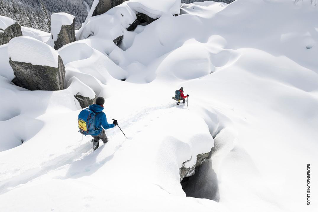 Location Image for DynaLock Explore Backcountry Poles - Pair