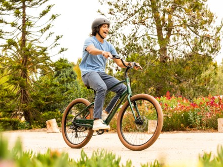 Electra Townie Go! 7D Step-Over Electric Bike 8