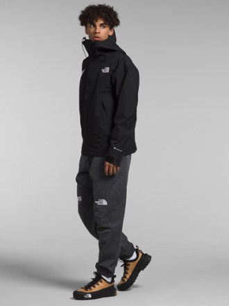 The North Face GTX Mountain Jacket - Men's 2