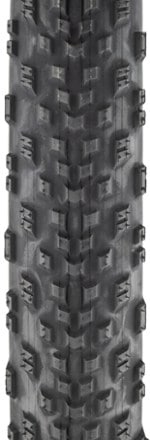 Teravail Rutland Light & Supple Tire - 29 1