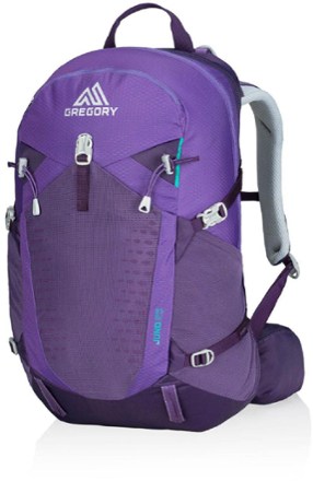 gregory purple backpack