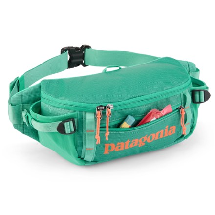 Patagonia Black Hole Waist Pack 5 L 4