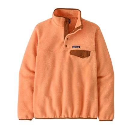 Patagonia Lightweight Synchilla Snap-T Fleece Pullover - Women's 0
