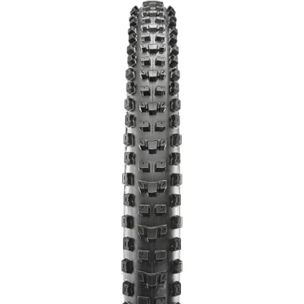 Maxxis Dissector 3C MaxxGrip DD/WT/TR Tire 1