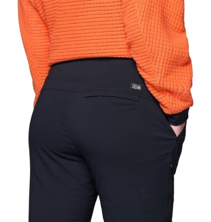 Mountain Hardwear Dynama Lined Pants - Women's 6