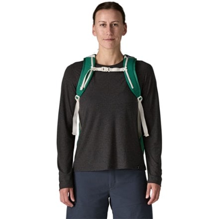 Patagonia Refugio 26L Pack 5