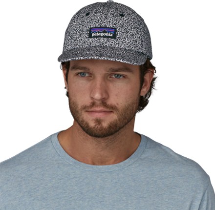 Patagonia P-6 Label Trad Cap 1