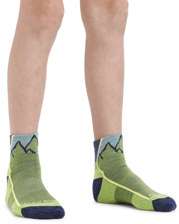 Darn Tough Light Hiker Jr. Quarter Light Cushion Socks - Kids' 0