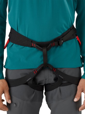 Arc'teryx C-Quence Harness - Men's 2