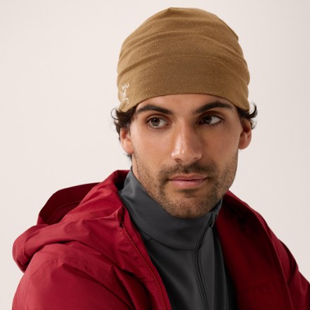 Arc'teryx Rho Lightweight Wool Toque – OutdoorsInc.com
