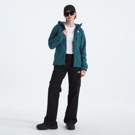 The North Face Retro Denali Hoodie - Women's 3