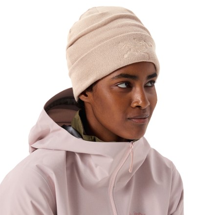 Arc'teryx Embroidered Bird Toque 4