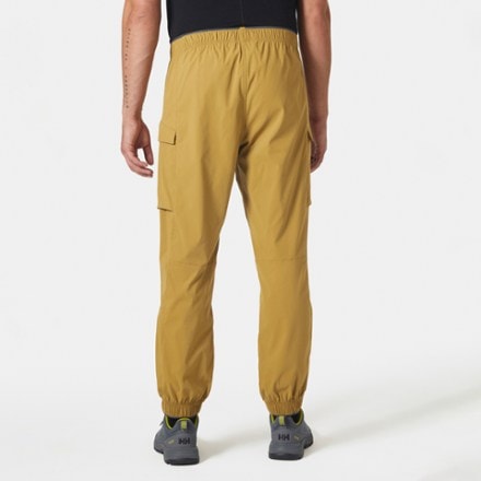 Helly Hansen Vista Hike Pants - Men's 2