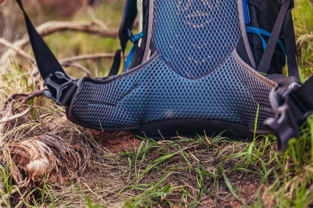 Location Image for Citro 24 Pack - Men's