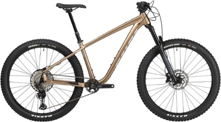 Salsa mountain sales bikes for sale